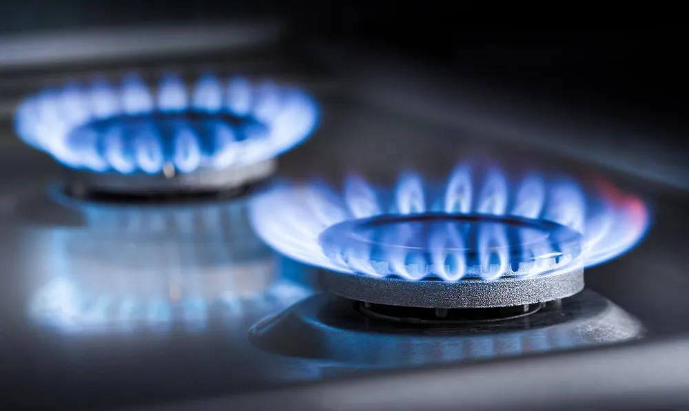 Продление срока службы газовых плит, котлов, колонок